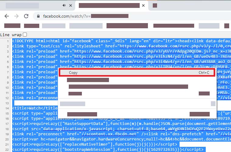 Copy all the page source code