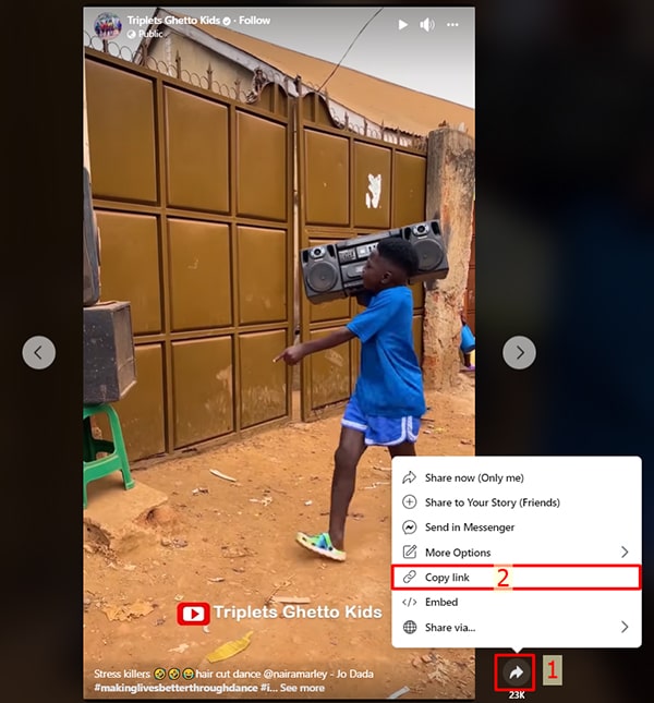 Step 1: Copy the Facebook video URL
