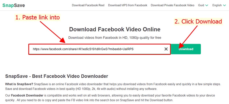 Step 2: Paste the link into SnapSave