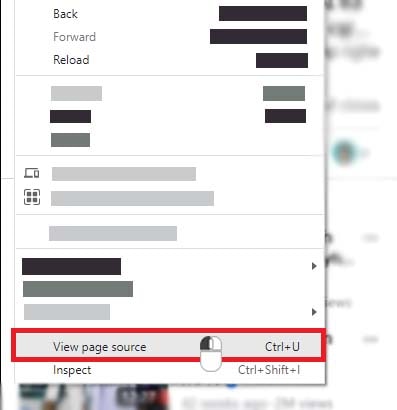 Open the option to view the page source